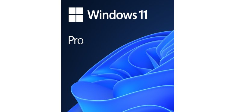 Microsoft Windows 11 Pro Full packaged product (FPP) 1 license(s)