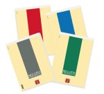 Pigna 0213748BI writing notebook A4 70 sheets Multicolour