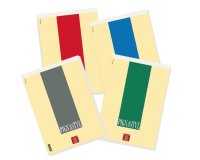 Pigna 0213748BI writing notebook A4 70 sheets Multicolour