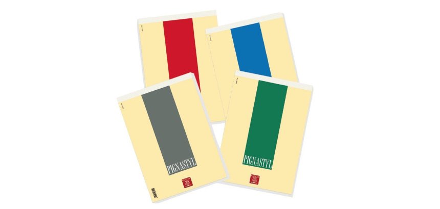 Pigna 0213748BI writing notebook A4 70 sheets Multicolour