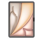 Just in Case 8450746 protection d'écran de tablette Protection d'écran transparent Apple 1 pièce(s)