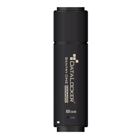 DataLocker Sentry One Managed lecteur USB flash 32 Go USB Type-A 3.2 Gen 1 (3.1 Gen 1) Noir