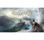 Warner Bros. Games Hogwarts Legacy Nintendo Switch 2 Standard Cinese semplificato, Cinese tradizionale, Tedesca, Inglese, ESP, Francese, ITA, Giapponese, Coreano, Portoghese, Russo