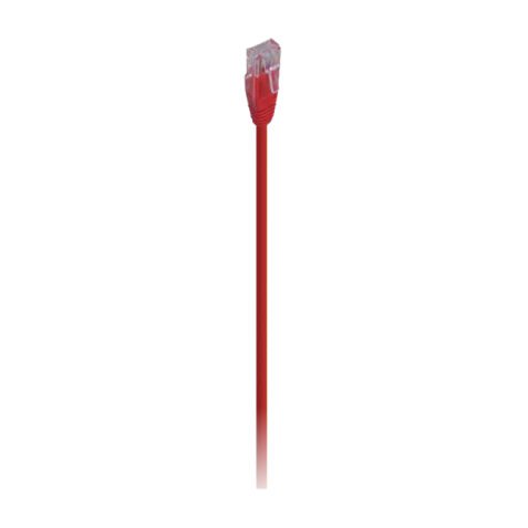 DCU Advance Tecnologic 308800 câble de réseau Rouge 0,5 m Cat5e U/UTP (UTP)