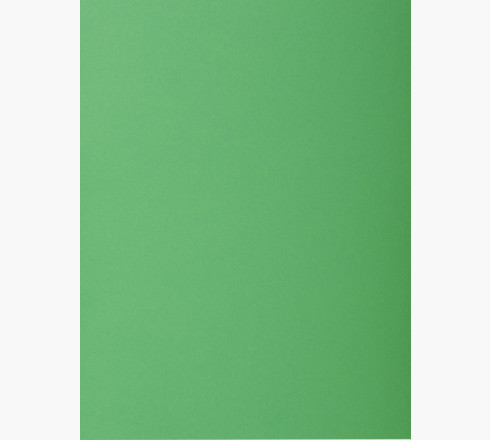 Sous-chemise standard 80 g Bruneau 22 x 31 cm couleurs assorties - Paquet  de 250 sur