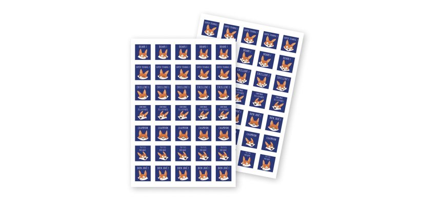 Gommette éducative maildor bon points renards 148x210mm sachet 700 unités