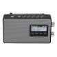 Panasonic RF-D10EG-K - Radio digitale, nero, DAB+/FM, alimentazione a batteria