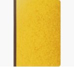 Manifold exacompta piqué a4 210x297mm 5x5mm folioté vertical 80 pages