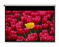 Optoma Pantalla 16:9 2656 x 1494mm projection screen 3.05 m (120")