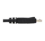 Tripp Lite P580-010 câble DisplayPort 3,05 m Noir