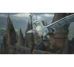 Warner Bros. Games Hogwarts Legacy Nintendo Switch 2 Standard Cinese semplificato, Cinese tradizionale, Tedesca, Inglese, ESP, Francese, ITA, Giapponese, Coreano, Portoghese, Russo