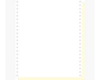 "1000 feuilles de listing autocopiantes blanc/jaune 240x11"" 2plis Bandes Caroll Détachables" - Blanc