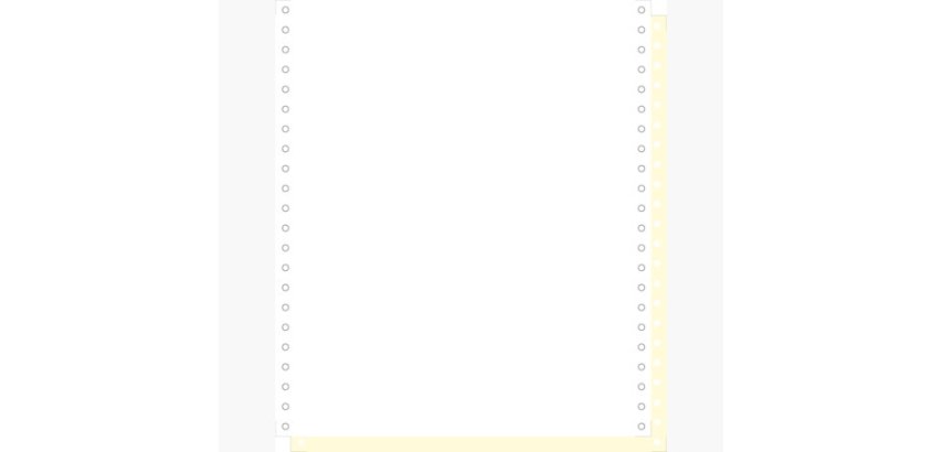 "1000 feuilles de listing autocopiantes blanc/jaune 240x11"" 2plis Bandes Caroll Détachables" - Blanc