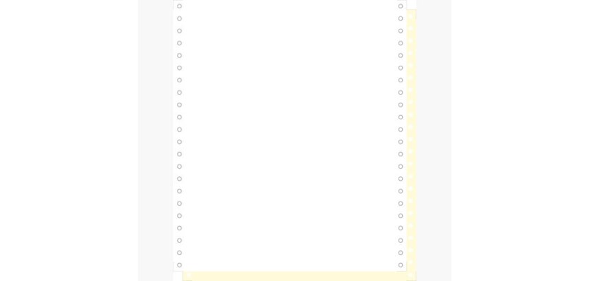 "1000 feuilles de listing autocopiantes blanc/jaune 240x11"" 2plis Bandes Caroll Détachables" - Blanc