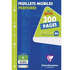 Feuillets mobiles sous film A4 300 pages perforées petits carreaux