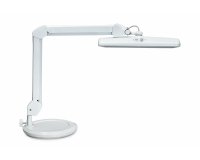 MAULintro LED dimmable work lamp on white base