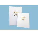 Livre d or elve 21 x 29 7 cm blanc 148 pages couverture aspect cuir