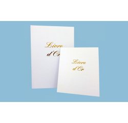 Livre d or elve 21 x 29 7 cm blanc 148 pages couverture aspect cuir