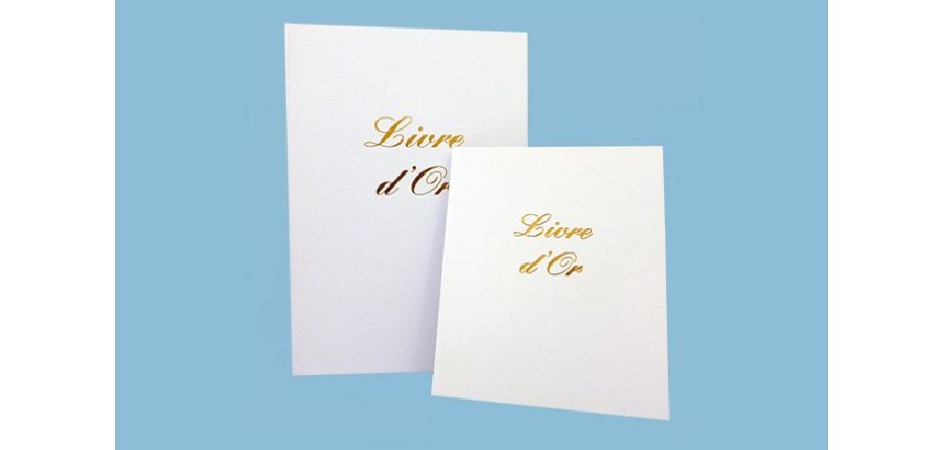 Livre d or elve 21 x 29 7 cm blanc 148 pages couverture aspect cuir