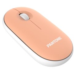 Pantone PT-MS001E mouse Casa RF Wireless Laser 100 DPI