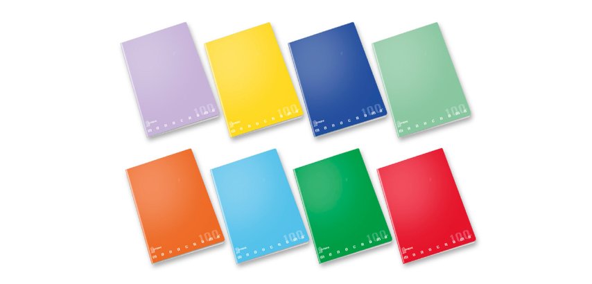 Pigna 02303621R writing notebook 48 sheets Multicolour