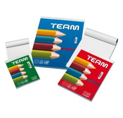 Blocco note Team - 5 mm - 21 x 29,7 cm - 50 gr - 50 fogli - Blasetti
