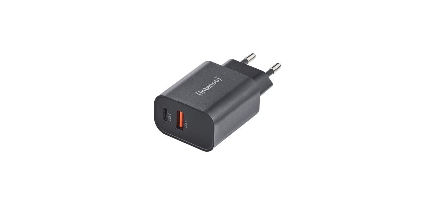 Intenso 7803010 adattatore e invertitore Interno 30 W Nero