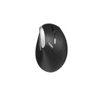Rapoo EV250 mouse Ufficio Mano destra RF Wireless Ottico 1600 DPI