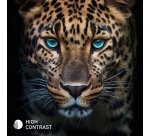 Panasonic Smart TV LED HD READY 32" TB-32S40AEZ