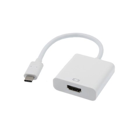 Adaptateur USB 3.1 Type-C Mâle / HDMI Femelle 15cm Blanc 590478