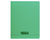 Cahier piqué 8000 POLYPRO 17x22 cm 96 pages grands carreaux 90 g - Vert