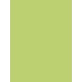 PAPIER AFFICHE PEINTE, Paquet de 25 feuilles 90g/m2 au format 60x80cm - Vert pomme