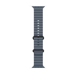 Apple Titanium Finish Blue Fluoroelastomer Band, Titanium