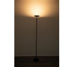 MAUL 8255290 Black table lamp
