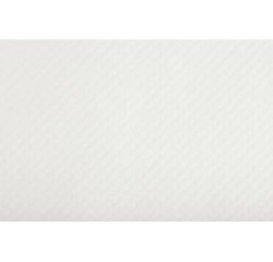 Barquette de 500 sets de table papier gaufré glacé Tiss Lack uni- Format 30X40 cm - Couleur blanc. - Blanc
