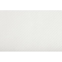 Barquette de 500 sets de table papier gaufré glacé Tiss Lack uni- Format 30X40 cm - Couleur blanc. - Blanc