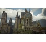 Warner Bros. Games Hogwarts Legacy Nintendo Switch 2 Standard Cinese semplificato, Cinese tradizionale, Tedesca, Inglese, ESP, Francese, ITA, Giapponese, Coreano, Portoghese, Russo
