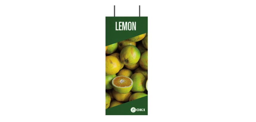 OKI FASTDISPLAY Métal afficheur mural pour A3