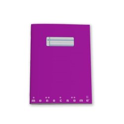 Pigna 0231270Q2 writing notebook A4 20 sheets Multicolour