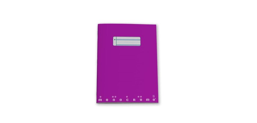 Pigna 0231270Q2 writing notebook A4 20 sheets Multicolour