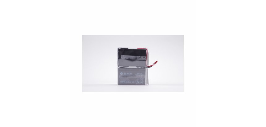 Eaton EB010SP Batterie de l'onduleur Sealed Lead Acid (VRLA) 6 V 9 Ah