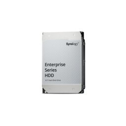 Synology Enterprise disque dur 20 To 7200 tr/min 512 Mo 3.5" Série ATA III