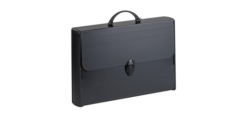 Favorit 400173501 briefcase Black