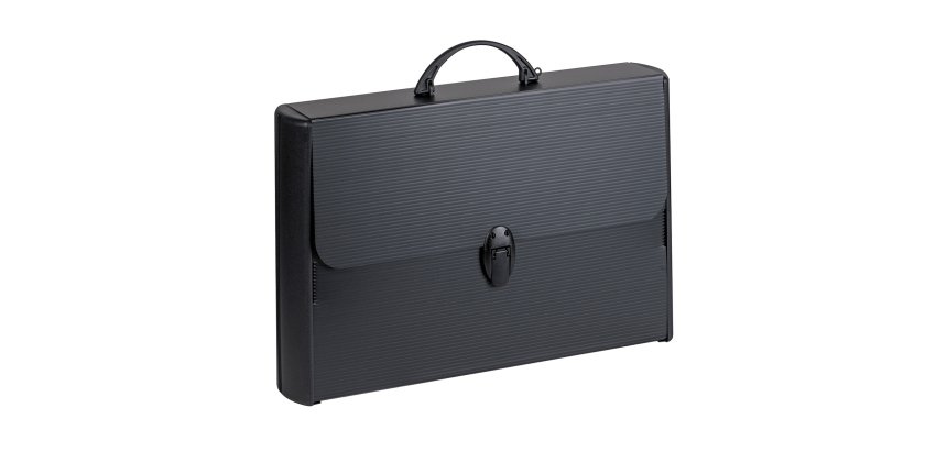 Favorit 400173501 briefcase Black