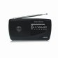 Haeger PR-TRI.002A radio Portátil Negro