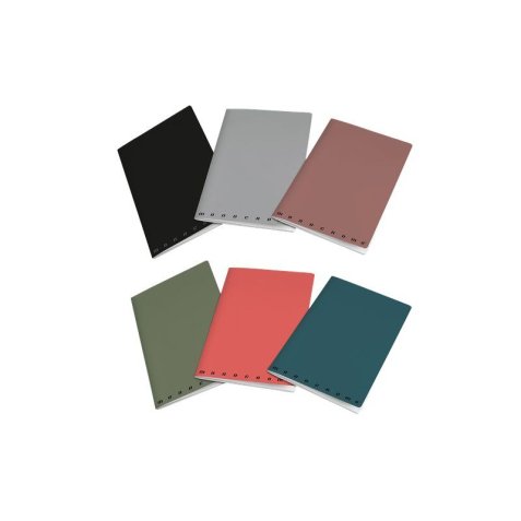 Pigna 02317764M writing notebook A4 2 sheets Multicolour