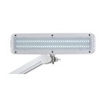 MAULintro LED desk lamp with dimmable white clamp