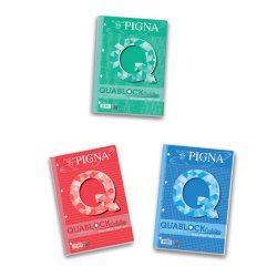 Pigna 02112151R writing notebook A4 40 sheets Multicolour