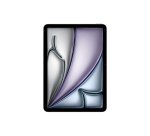 Apple iPad Air Apple M 256 Go 27,9 cm (11") 8 Go Wi-Fi 6E (802.11ax) iPadOS 17 Gris