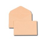Enveloppe gpv election recyclee 90x140mm 80g patte   triangulaire non gommee bulle boite 500 unites